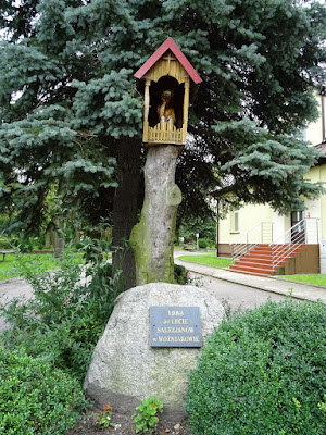 Zdjęcie: