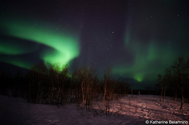 Northern Lights Bart Simpson