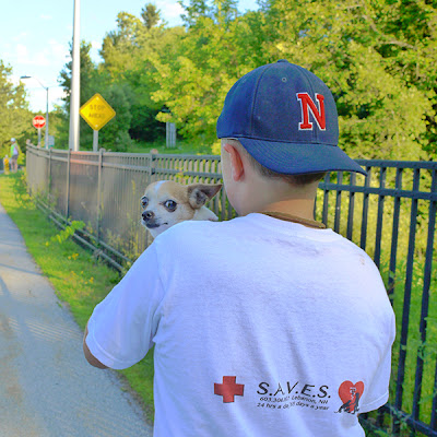 your Lebanon, New Hampshire veterinarian