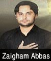 http://72jafry.blogspot.com/2014/04/zain-abbas-shah-nohay-2011-to-2015.html