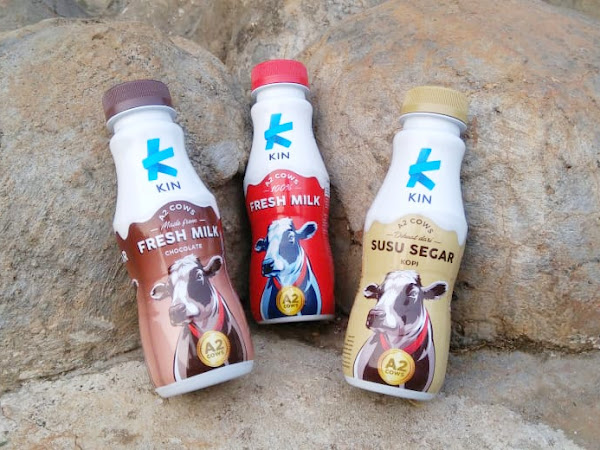 Keunggulan KIN Fresh Milk, Susu Berkelas dari Sapi Teratas