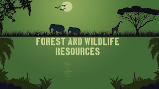 CBSE Notes Class 10 Geography Chapter 2 - Forest and Wildlife Resources