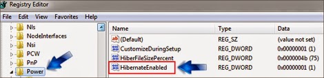 Disable hibernate option