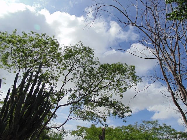 CONHEÇA O SERTÃO, A CAATINGA, AS HISTÓRIAS E A TRILHA DA PEDRA MONTADA