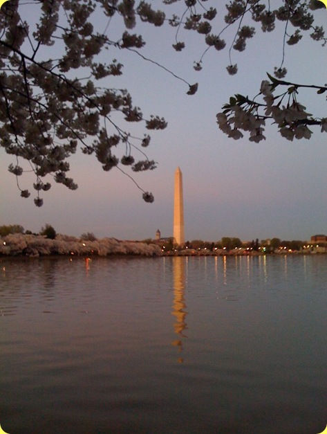 photo(2)
