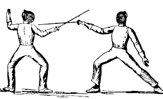 Image result for fencing