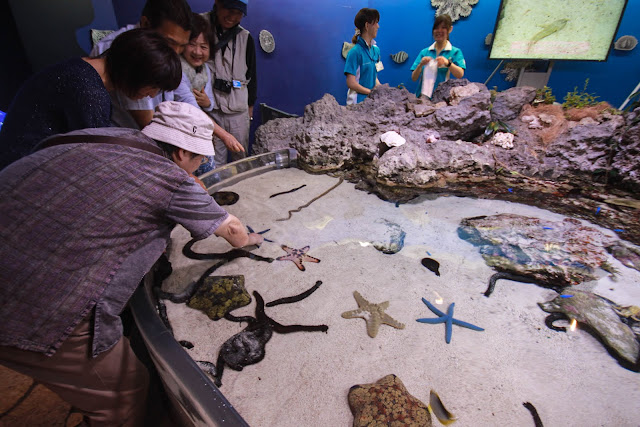 沖繩美麗海水族館