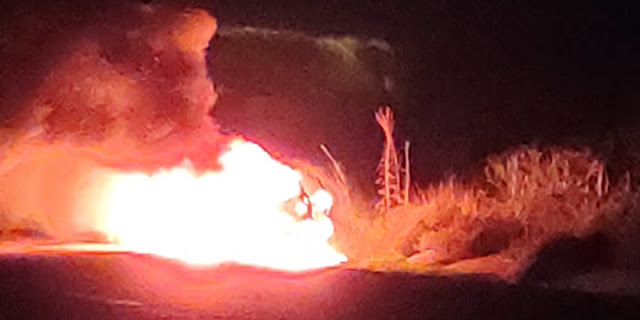 Car burst into flame after colliding with a wild donkey in Dipkarpaz on Sunday