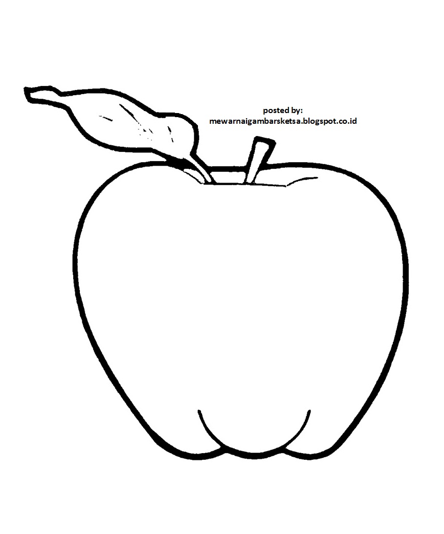 Mewarnai Gambar Mewarnai Gambar Sketsa Buah Apel 1