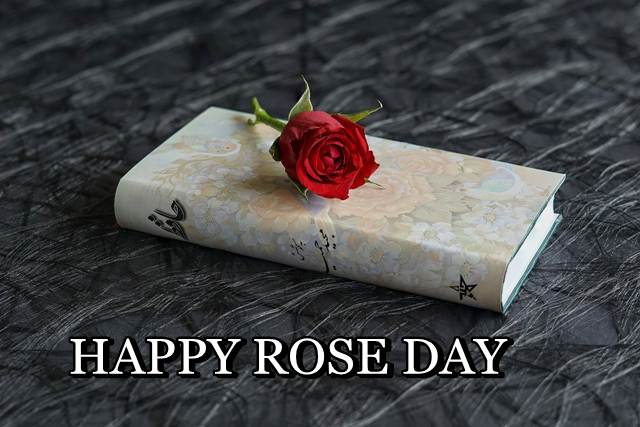 HAPPY ROSE DAY, ROSE DAY, ROSE DAY IMAGES DOWNLOAD V