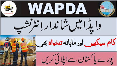 WAPDA Internship Program 2023 Apply Online