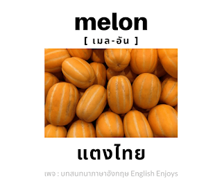 melon - แตงไทย