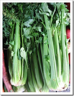 CELERY