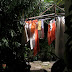 Solar Power