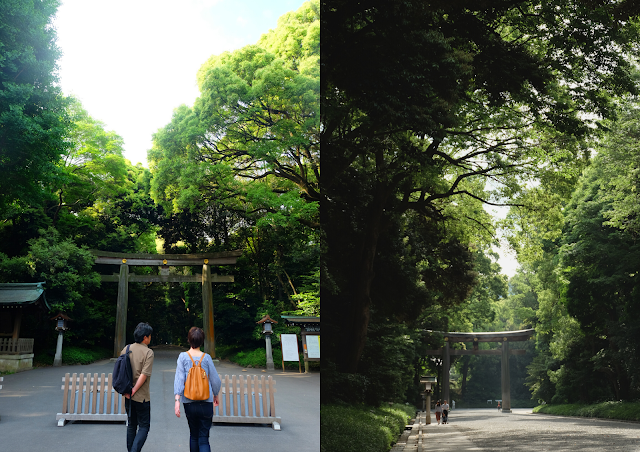 Meiji Jingu Tokyo Curitan Aqalili