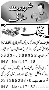 PRIVATE SCHOOL TEACHING JOB IN PESHAWAR 2023