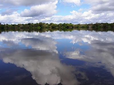 Floresta Nacional de Purus | Amazonas