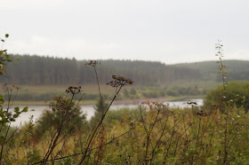 walking around Usk reservoir in Brecon Beacons National Park