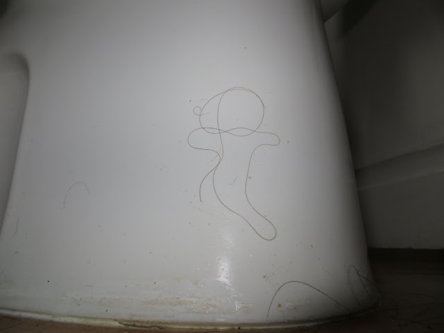 Desenho de "Fantasma" feito em cabelo por acaso em loiça de casa de banho Fotografia macro