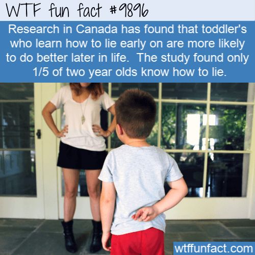 Interesting Random WTF Facts