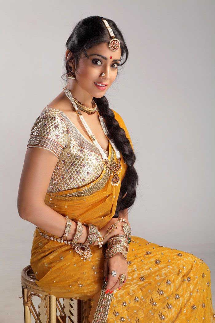 Shreya Saran yellow sari  subtle pose - (2) - Shriya saran Traditional Saree LATEST PHOTOSHOOT