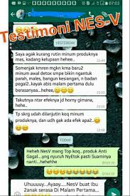 Testi Nes V