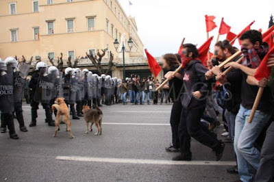 The Return of the Riot Dog Seen On www.coolpicturegallery.us