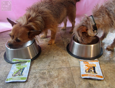 Jada and Bailey eating Weruva Dogs in The Kitchen Food