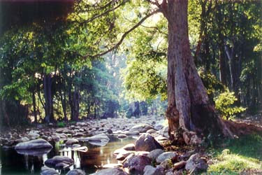 <imgsrc="http://udinikkara.blogspot.com/image.jpg" alt="chinnar wildlife sanctuary" … />
