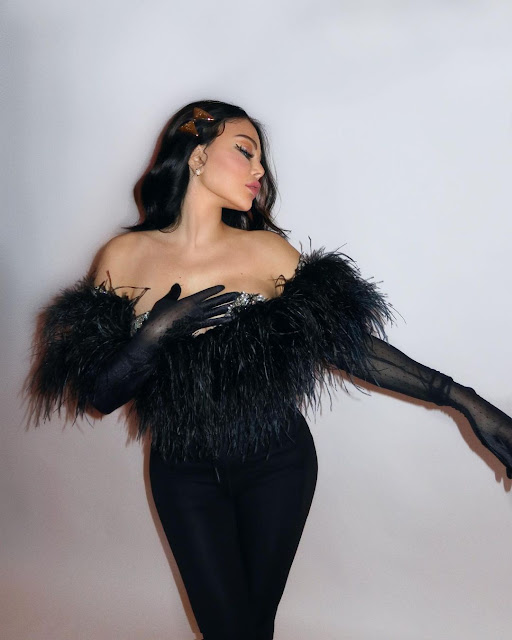 Haifa Wehbe Photos