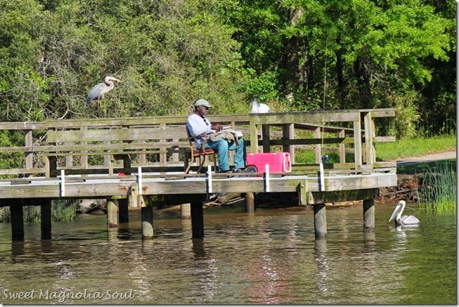 Fisherman2