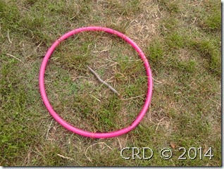 2014-06-24 10.55.32