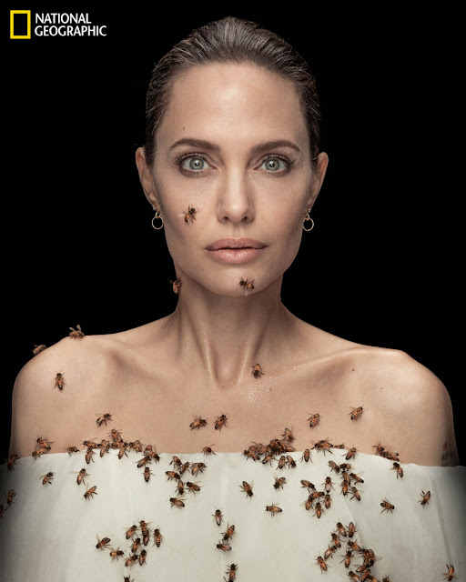18 minutes covered in bees, would you dare? Angelina Jolie has done it for a good cause