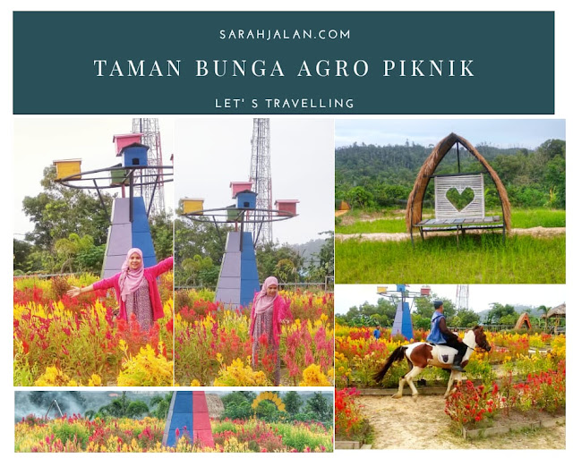 Taman Bunga Agro Piknik Sei Temiang Batam