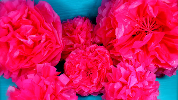 Tissue Paper Flowers Balls