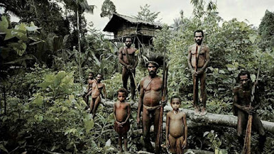 Suku Korowai, dari Tinggal di Rumah Pohon Sampai Melakukan Kanibalisme.jpg