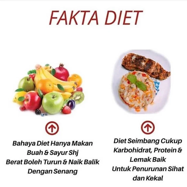 fakta sihat