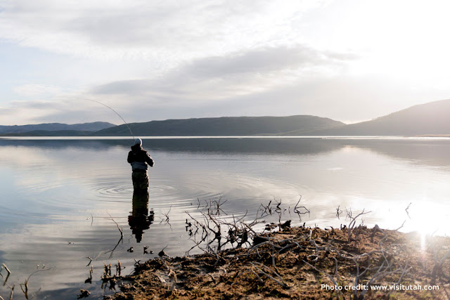 a fisherman wading in the water, casting his line