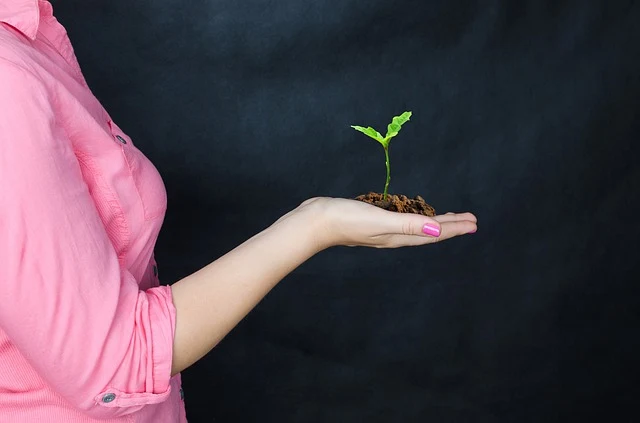 Essay on Save Trees for School Students.