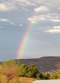 Dinner time rainbow