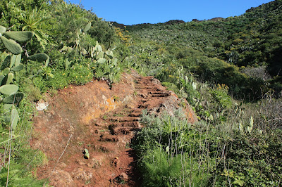 PR-TF-2  VALLESECO (Santa Cruz de Tenerife) A TABORNO, Sendero paralelo al Barranco Seco en dirección a La Fortaleza, tramo de escalaras llegando a Las Casas de La Fortaleza