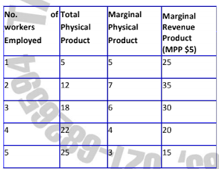 Marginal Productivity Theory 