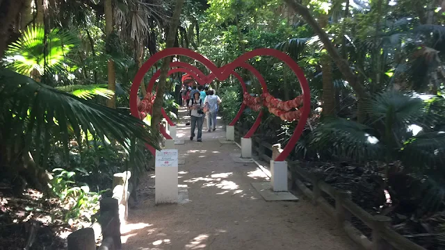 パワースポット青島神社へ～宮崎観光～