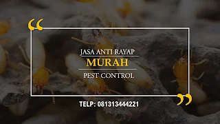 Solusi Pest Control Bandung