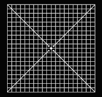 grid amsler