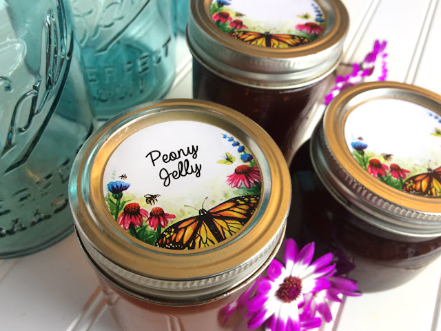 Watercolor Butterfly mason jar canning labels