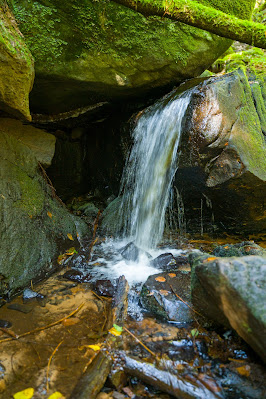 Forsthaus Annweiler Rundwege 3 und 5 | Zum Kirschfelsen und durch das Eiderbachtal | Wandern Südliche Weinstrasse 12