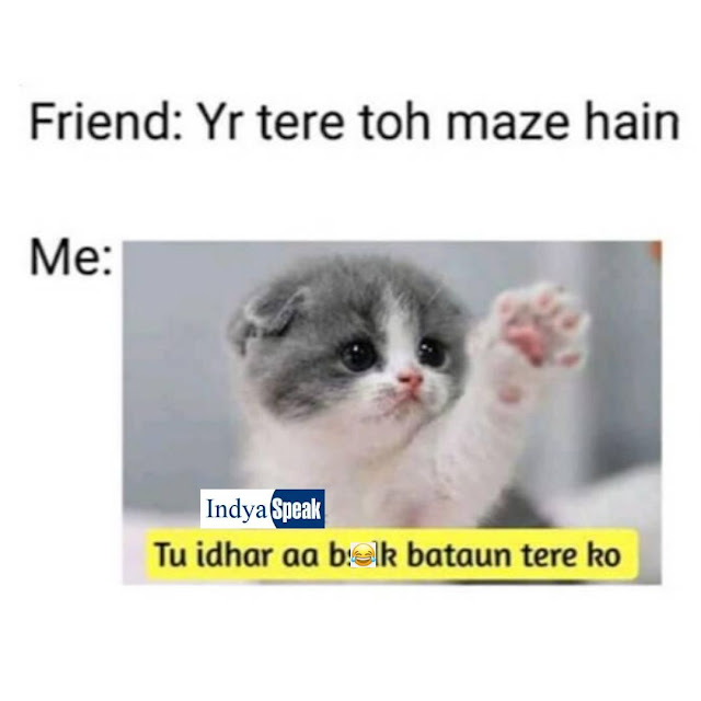 When Friend Says Yar Tere To Maje hai