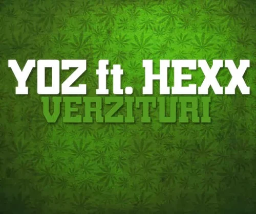 verzituri artwork