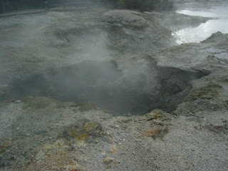 My New Zealand Vacation, Rotorua, Hell's Gate, Photo10700